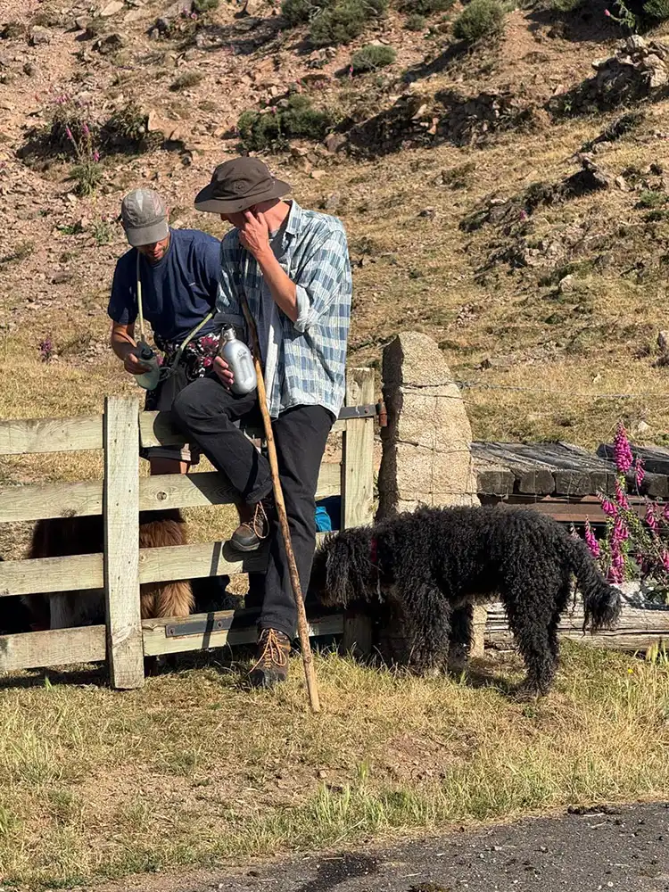 Transhumance Lozère 3 Collégiens visitant une exploitation